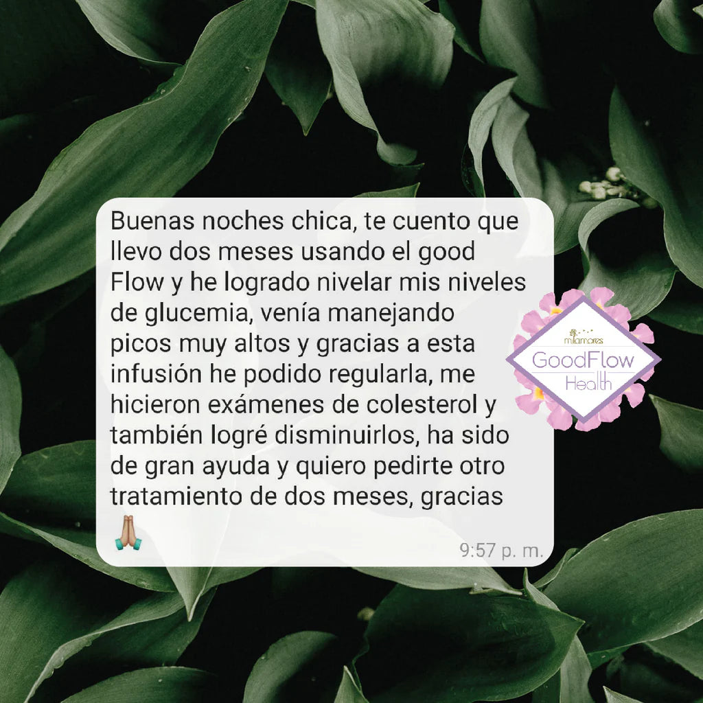 Mil Amores Caja de sachets Detox x 21