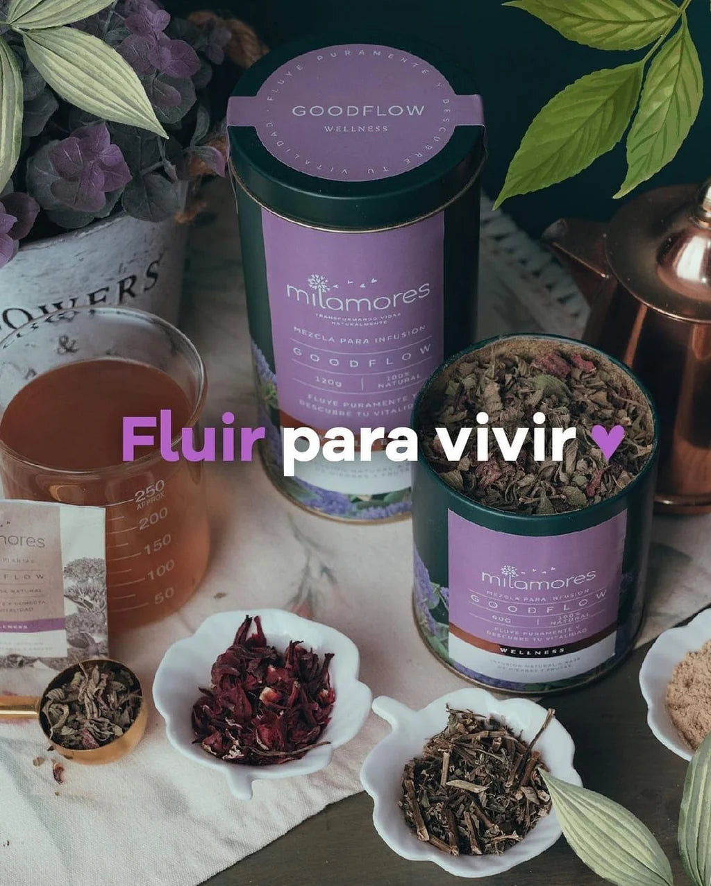 Mil Amores Box of 21 Detox sachets