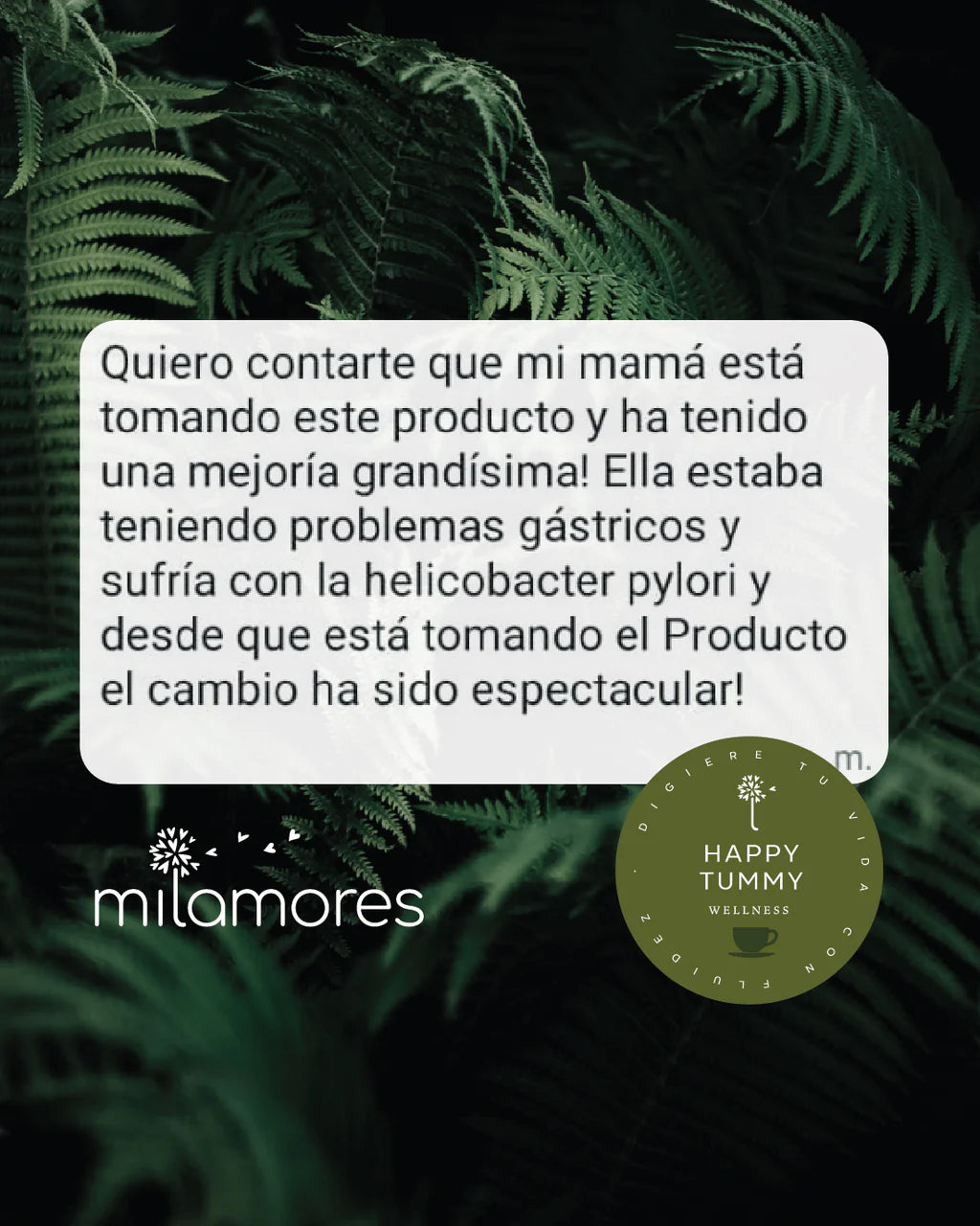 Mil Amores Box of 21 Detox sachets